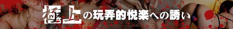 SM��y���t�B�G�X�^�o�i�[