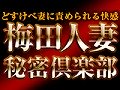 �~�c�l�Ȕ閧��y��