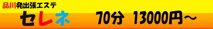 �Z���l�Y�o�i�[