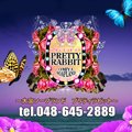 �v���e�B�[���r�b�g