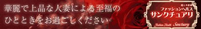 �T���N�`���A���o�i�[