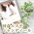 �V�����f�B�[��