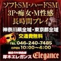 �G���K���X�`Elegance�`
