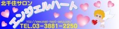 �G���W�F���n�[�g�o�i�[