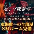 �Z���u�閧��