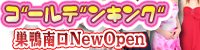 �S�[���f���L���O�o�i�[