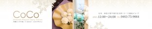 CoCo+ (�R�R�v���X)�o�i�[
