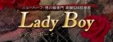 Lady Boy�o�i�[